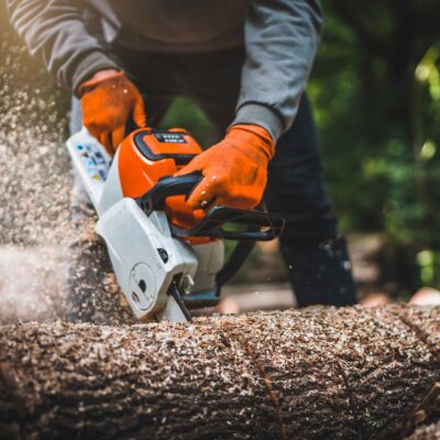 50_operatore_motosega_parma_info_cse_edilizia_corsi_formazione